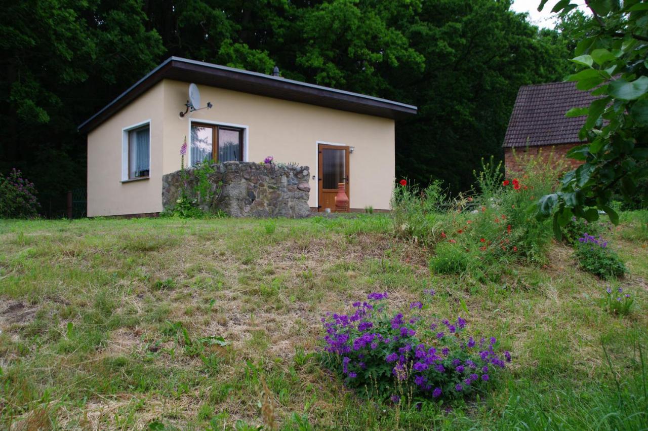 Bungalow Am Forsthaus Stagniess Uckeritz Exterior photo